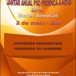 Concelhia do PSD