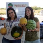 Hortas d'Idanha
