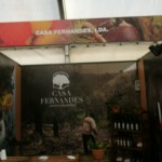 Casa Fernandes