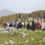 Peregrinos a caminho de Fátima