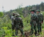 Forças Armadas apoiam Protecção Civil